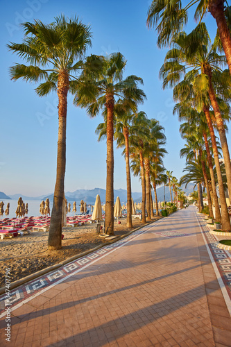 Beautiful promenade with palm trees in Marmaris