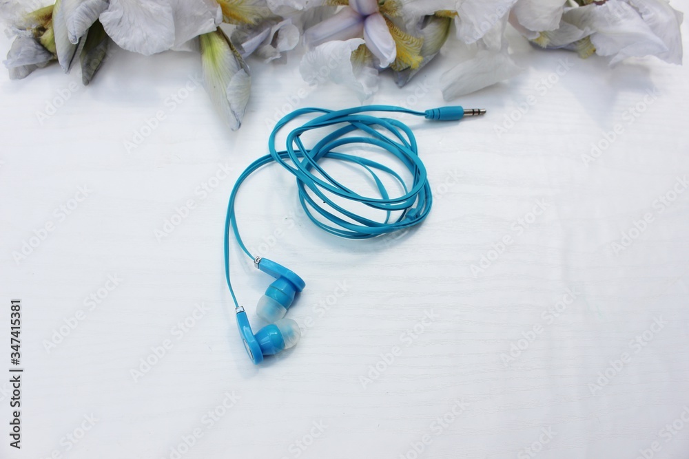 Dark blue headphones isolated on white, in the background flowers. Dark blue earphone on a background of light blue iris flowers isolated on white. Side view, copyspace