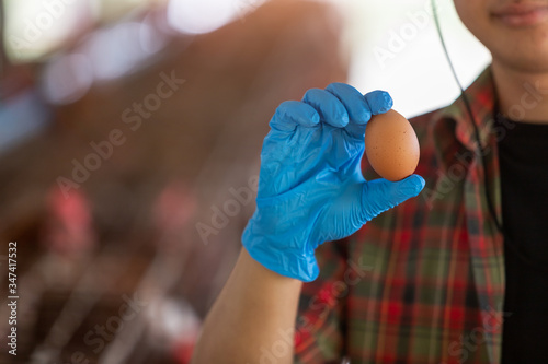 Close-up hand of young asian man farmer holdding fresh eggs in hands in Eggs chicken farm..