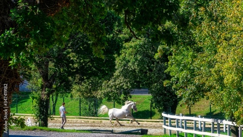 Canvastavla Lipizzan Horse Training