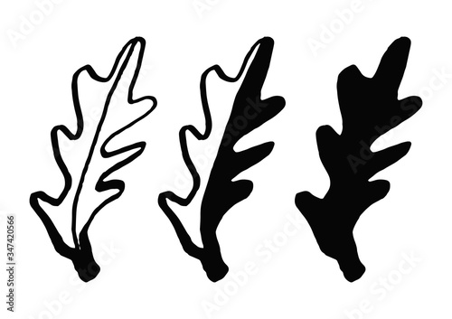 Set arugula in doodle style isolated on white background. Vector hand drawn outline and silhouette simple illustration. Eco product.