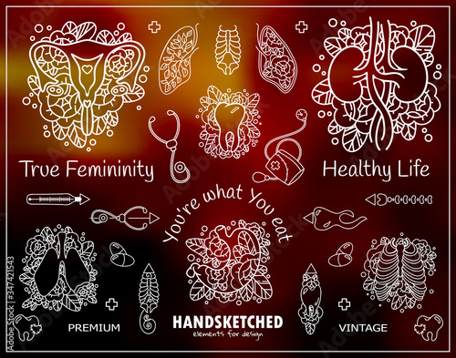 Vector set of human organs and flowers theme elements. Medical illustrations, indexes in ornate vintage style. Doodle elements consist from heart, lungs, kidneys, rib chest, stomach, uterus, teeth