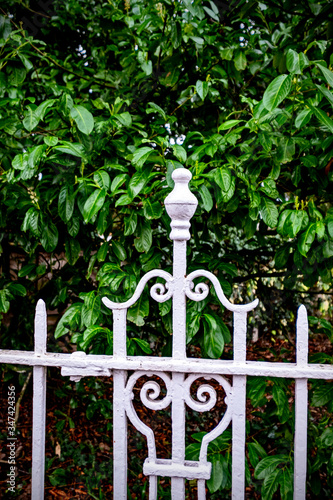 Detail of white pained wrought iron fence