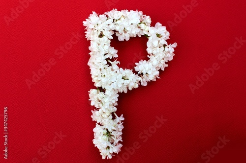 Obraz na płótnie Letter P made from flowers of white lilac on a red background. Flowers composition. Flat lay. Letter P made of white flowers. Spring concept. Floral letters of the alphabet for design and decorati w salonie