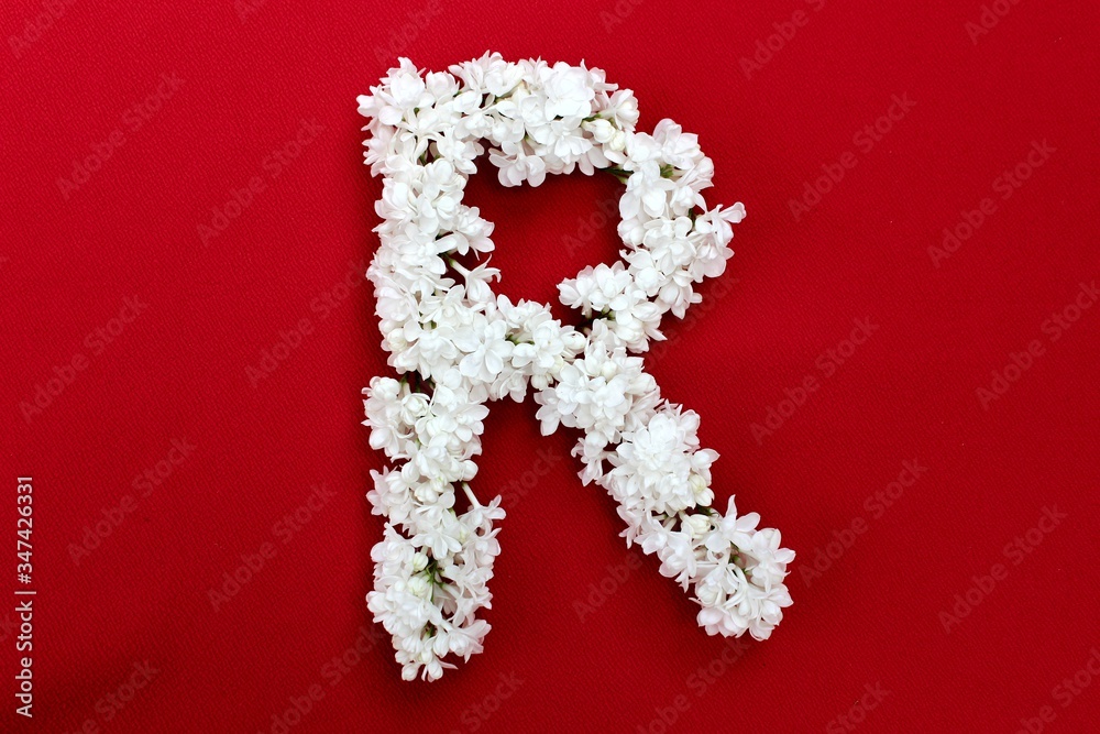 Letter R made from flowers of white lilac on a red background. Flowers composition. Flat lay. Letter R made of white flowers. Spring concept. Floral letters of the alphabet for design and decorati