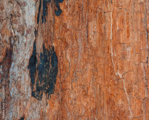 old wood texture