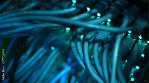 Utp cables, Rj 45, connections, wires of working server, switch, computer. 10/100/1000 Mbps speed.