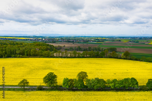 Top aerial view of flowering yellow rapeseed field. Beautiful outdoor countryside scenery from drone view. Many blooming plants. Spring theme background.