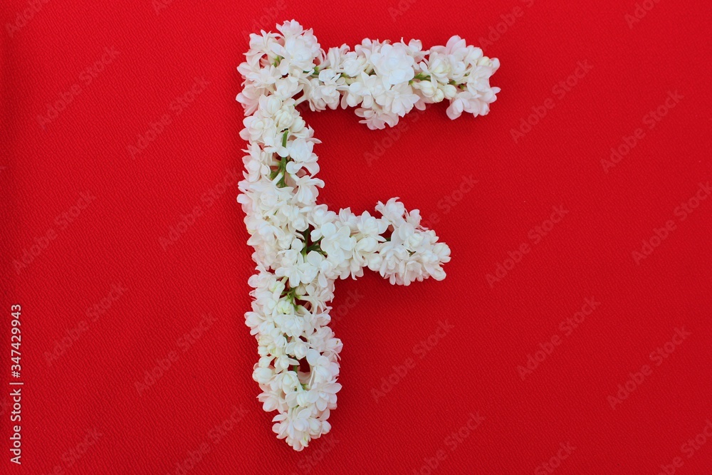 Letter F made from flowers of white lilac on a red background. Flowers composition. Flat lay. Letter F made of white flowers. Spring concept. Floral letters of the alphabet for design and decorati