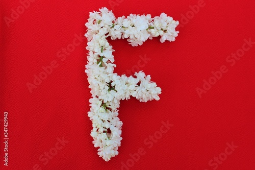 Obraz na płótnie Letter F made from flowers of white lilac on a red background. Flowers composition. Flat lay. Letter F made of white flowers. Spring concept. Floral letters of the alphabet for design and decorati w salonie