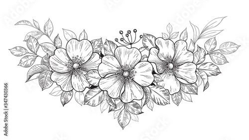 Hand Drawn Dog-Rose Bunch with Flowers and Leaves