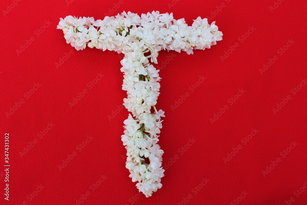 Letter T made from flowers of white lilac on a red background. Flowers composition. Flat lay. Letter T made of white flowers. Spring concept. Floral letters of the alphabet for design and decorati