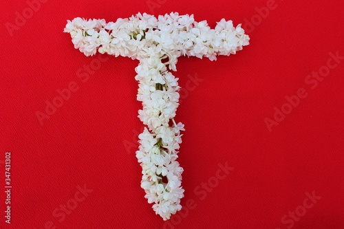 Obraz na płótnie Letter T made from flowers of white lilac on a red background. Flowers composition. Flat lay. Letter T made of white flowers. Spring concept. Floral letters of the alphabet for design and decorati w salonie