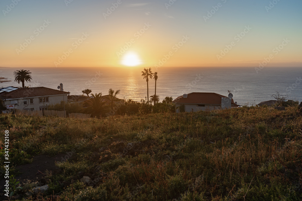 Sunset from Tenerife. On the horizon is the Atlantic Ocean, with two palm trees and houses in the foreground.