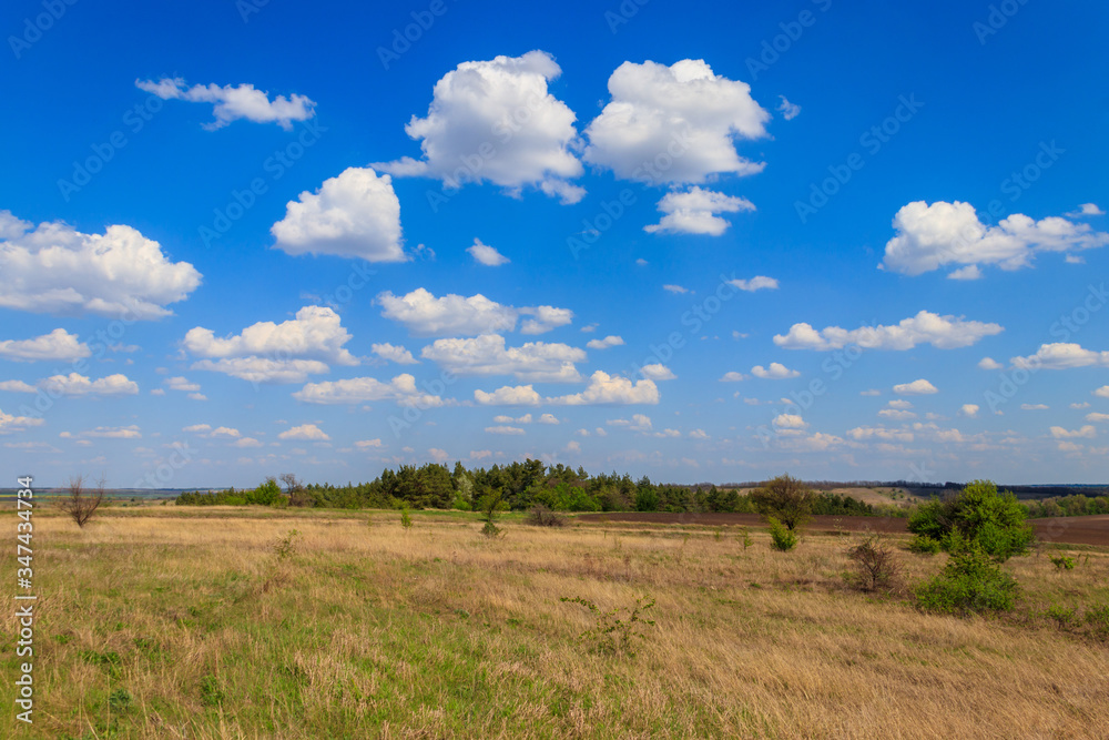 Spring landscape with green trees, meadows, fields and blue sky