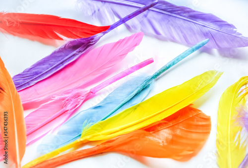 Colorful painted feathers isolated on white background