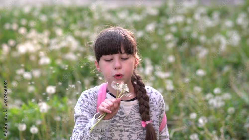 My summer dream.Little school girl plays with dandelions on green field.Slow motion. My summer dream.Little school girl plays with dandelions on green field.Slow motion.