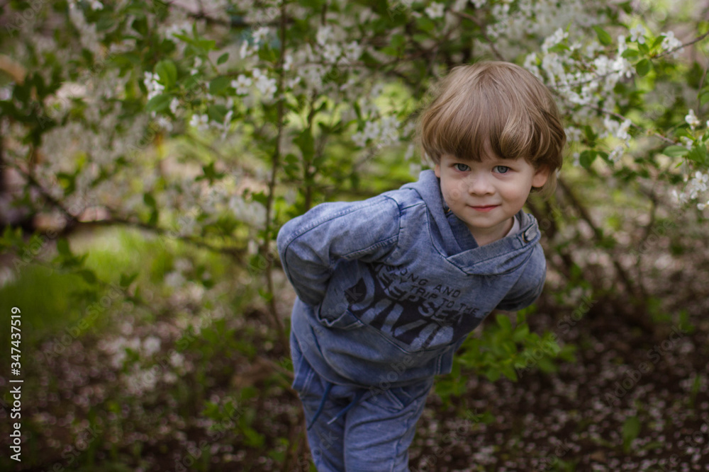 little boy in a flowering garden in spring little boy in a flowering garden in spring
