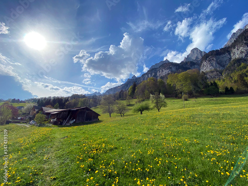 Alpine pastures and grasslands of the Seeztal valley and over lake Walensee, Walenstadtberg - Canton of St. Gallen, Switzerland (Kanton St. Gallen, Schweiz) photo