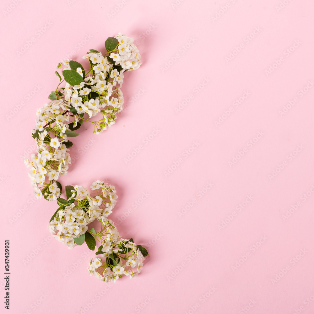 Floral round frame on a pink background, floral frame, pink background with place for text and design
Floral round frame on a pink background, floral frame, pink background with place for text and design
