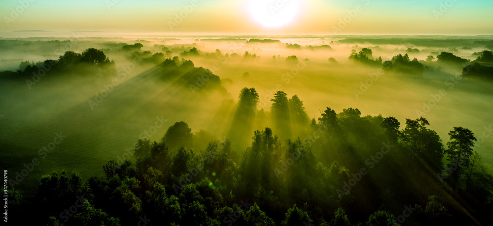 wschód słońca nad lasem we mgle - obrazy, fototapety, plakaty 