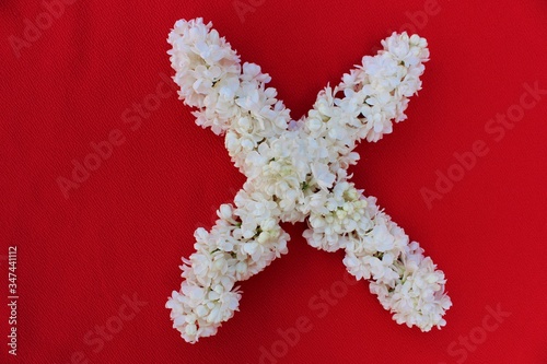 Letter X made from flowers of white lilac on a red background. Flowers composition. Flat lay. Letter X made of white flowers. Spring concept. Floral letters of the alphabet for design and decorati