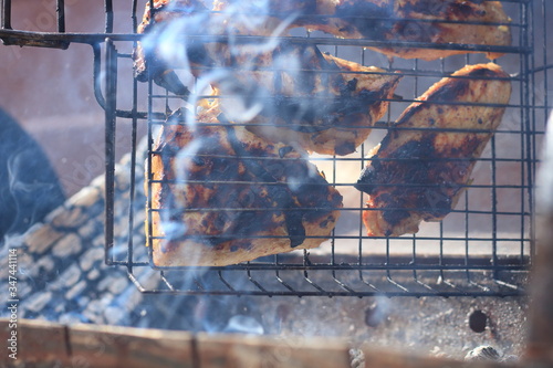 barbecue picnic, meat is roasted in the grill