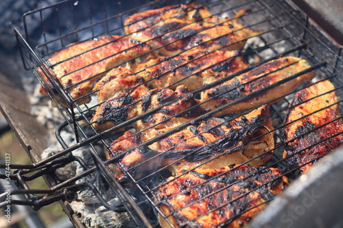 barbecue picnic, meat is roasted in the grill