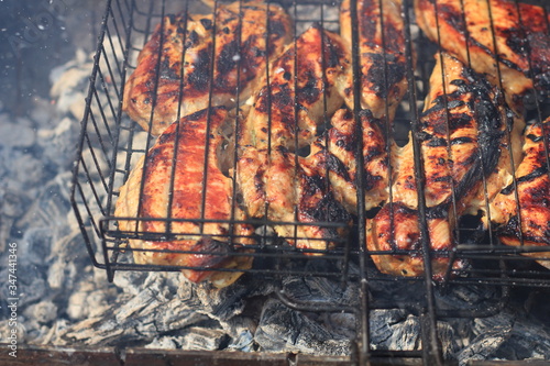 barbecue picnic, meat is roasted in the grill