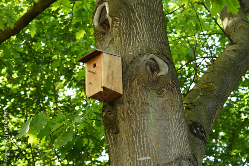 Bird house on tree in summer.