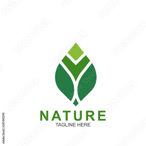 Leaf design logo Template