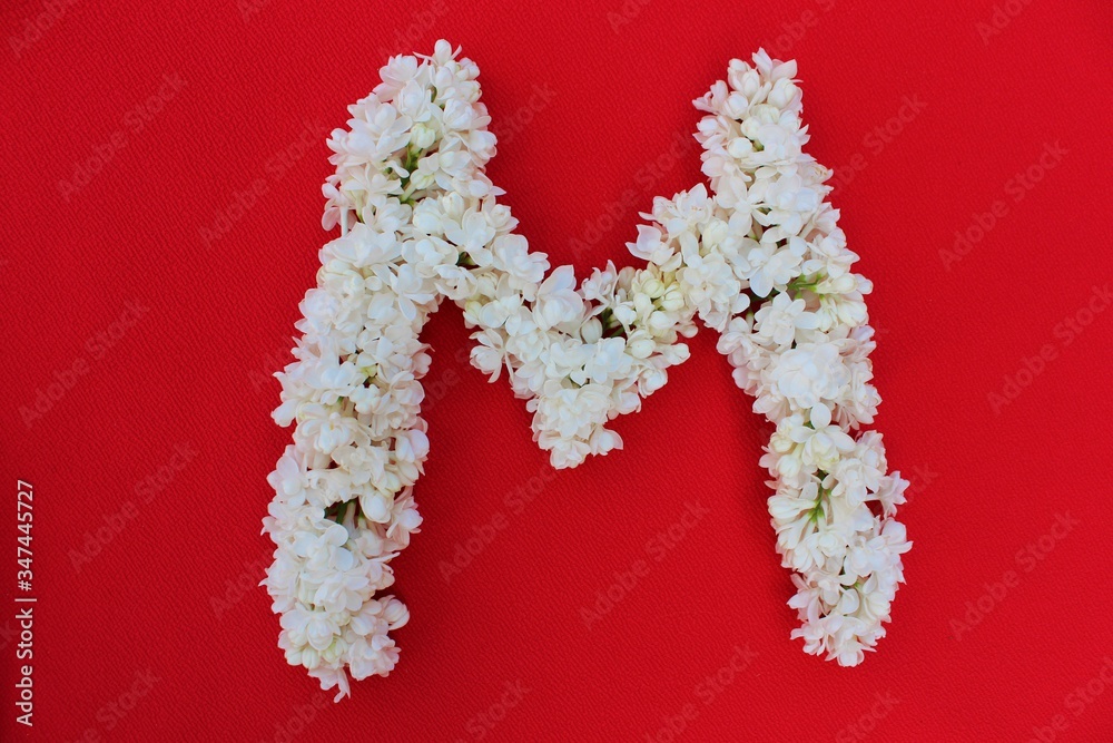 Letter M made from white lilac on a red background.Flowers composition. Flat lay. Letter M made of white flowers. Spring concept. Floral letters of the alphabet for design and decoration.
