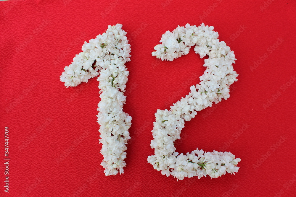 The number 12 is written in white lilac flowers on a red background. The number twelve is written in fresh flowers, isolated on red. Arabic numeral lined with flowers.