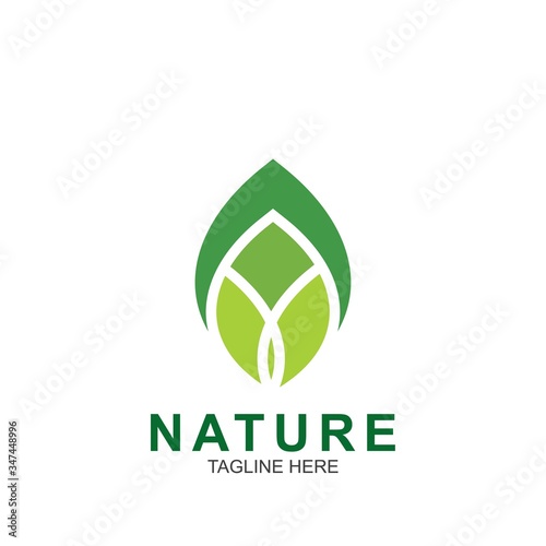 Leaf design logo Template