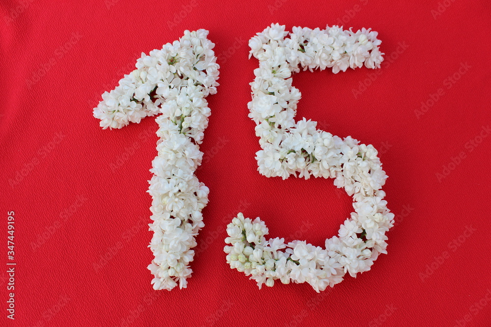 The number 15 is written in white lilac flowers on a red background. The number fifteen is written in fresh flowers, isolated on red. Arabic numeral lined with flowers.