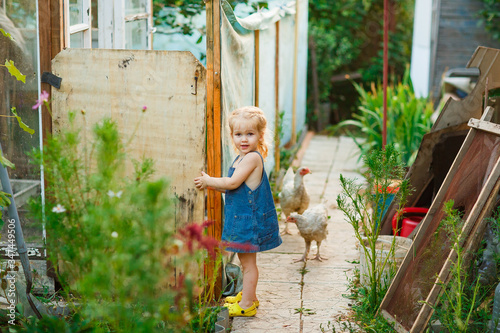 Little child girl and hens on farm.  © andrey