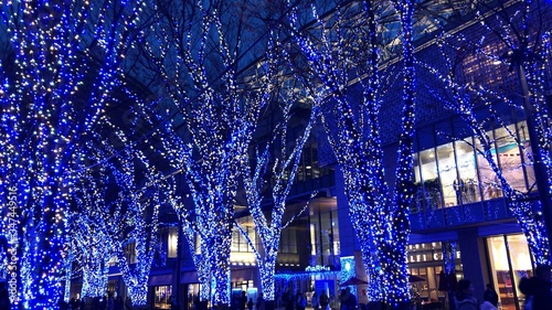 青くライトアップされた木