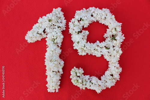 Obraz na płótnie The number 19 is written in white lilac flowers on a red background. The number nineteen is written in fresh flowers, isolated on red. Arabic numeral lined with flowers. w salonie