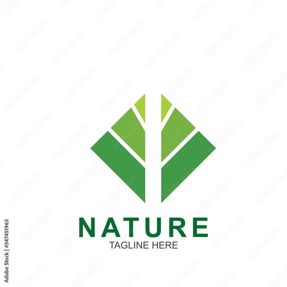 Fototapeta premium Leaf design logo Template