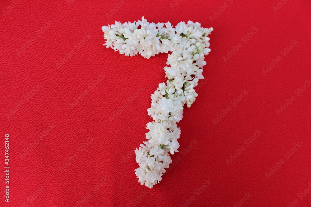 The number 7 is written in white lilac flowers on a red background. The number seven is written in fresh flowers, isolated on red. Arabic numeral lined with flowers.