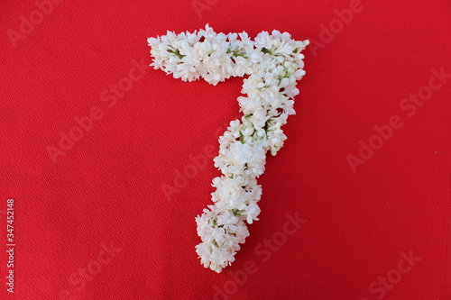 Obraz na płótnie The number 7 is written in white lilac flowers on a red background. The number seven is written in fresh flowers, isolated on red. Arabic numeral lined with flowers. w salonie