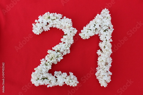 Obraz na płótnie The number 21 is written in white lilac flowers on a red background. The number twenty-one is written in fresh flowers, isolated on red. Arabic numeral lined with flowers. w salonie