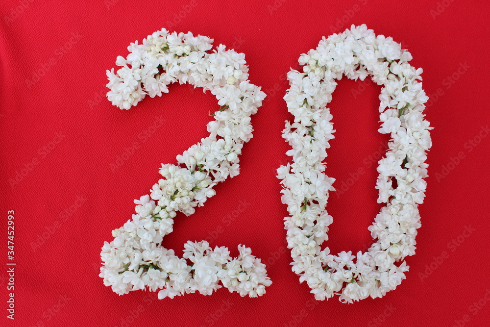 The number 20 is written in white lilac flowers on a red background. The number twenty is written in fresh flowers, isolated on red. Arabic numeral lined with flowers.
