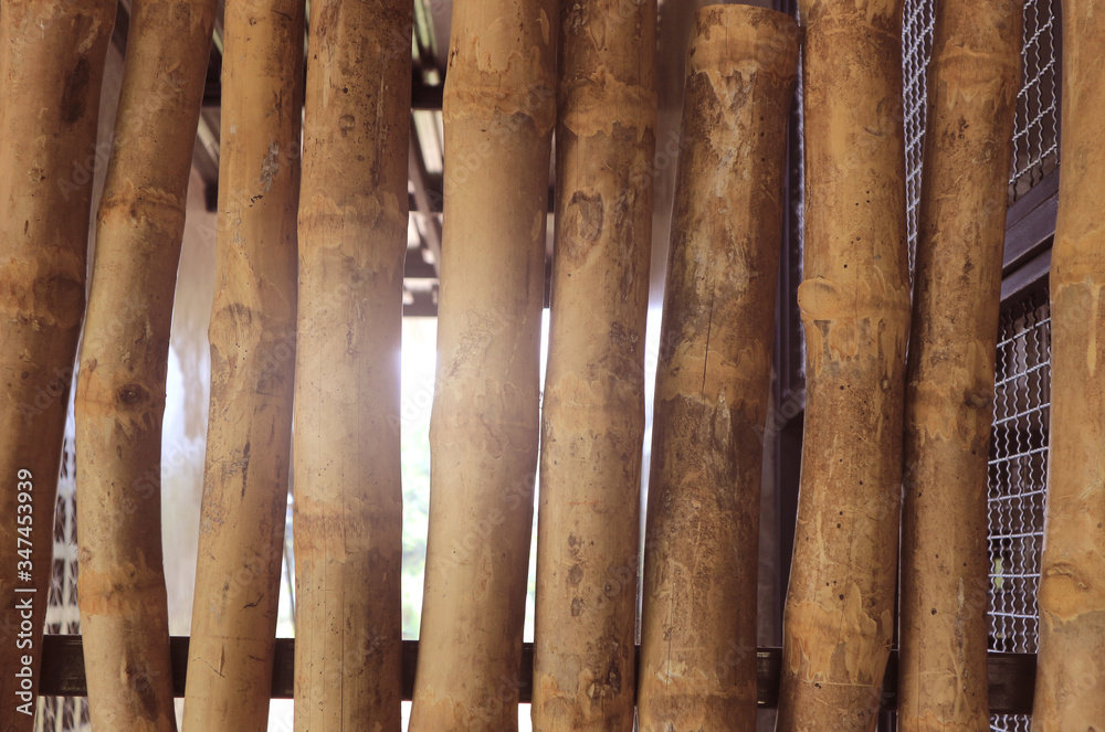 The texture and pattern of dry bamboo. The texture and pattern of dry bamboo.