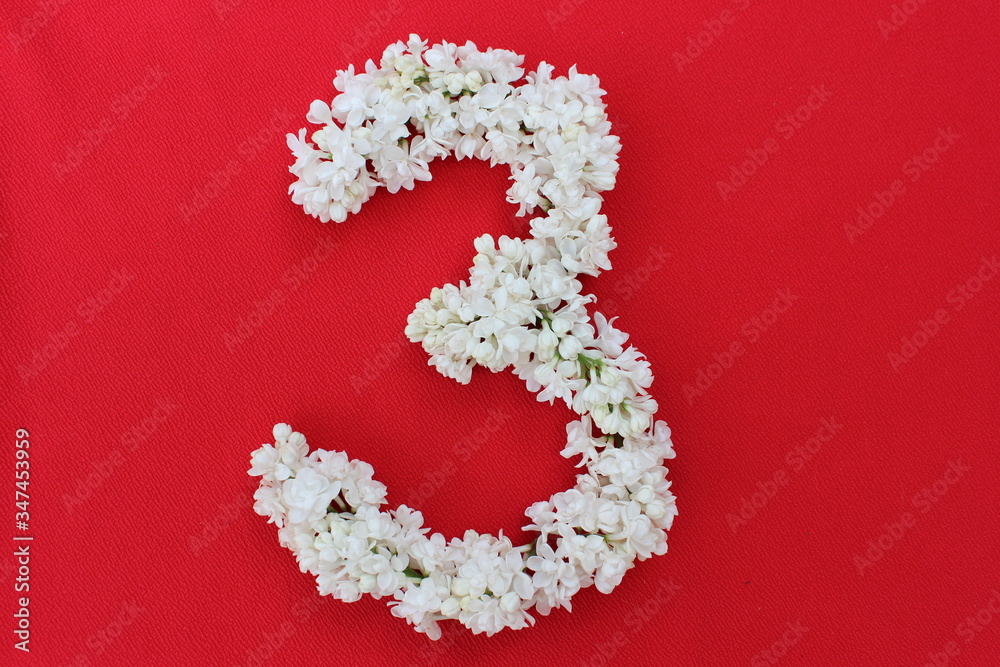 The number 3 is written in white lilac flowers on a red background. The number three is written in fresh flowers, isolated on red. Arabic numeral lined with flowers.