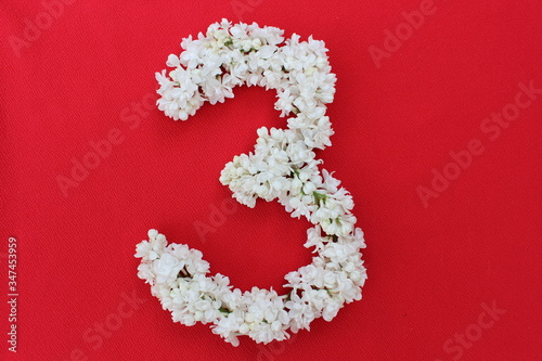 Obraz na płótnie The number 3 is written in white lilac flowers on a red background. The number three is written in fresh flowers, isolated on red. Arabic numeral lined with flowers. w salonie