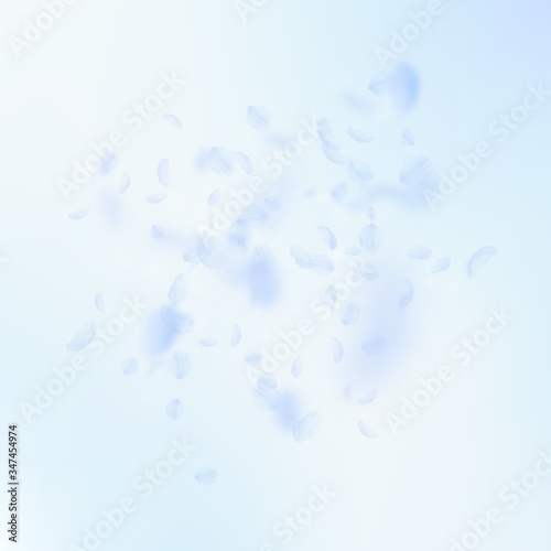 Light blue flower petals falling down. Awesome rom