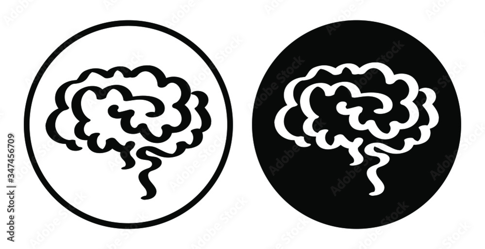 brain icon on white background brain icon on white background