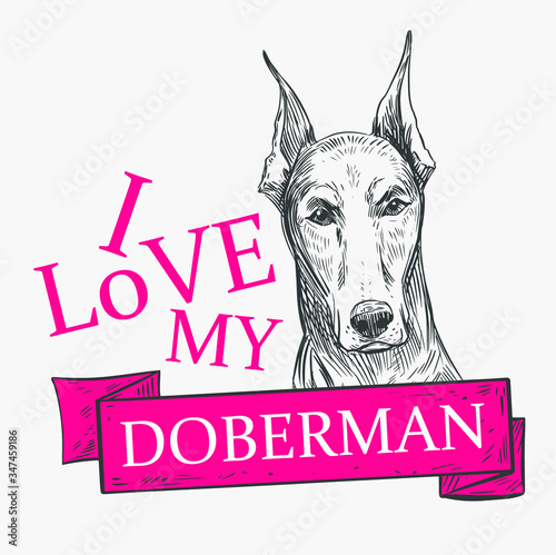 Illustration of doberman. T-shirt print. Vector sketch 