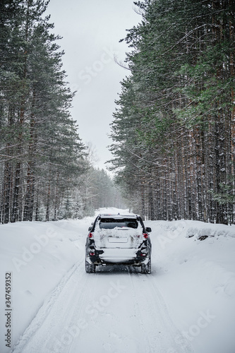 dark SUV in a winter pine forest near the city of Voskresensk